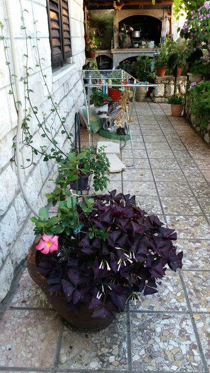 Guesthouse Ivona Dubrovnik Room photo